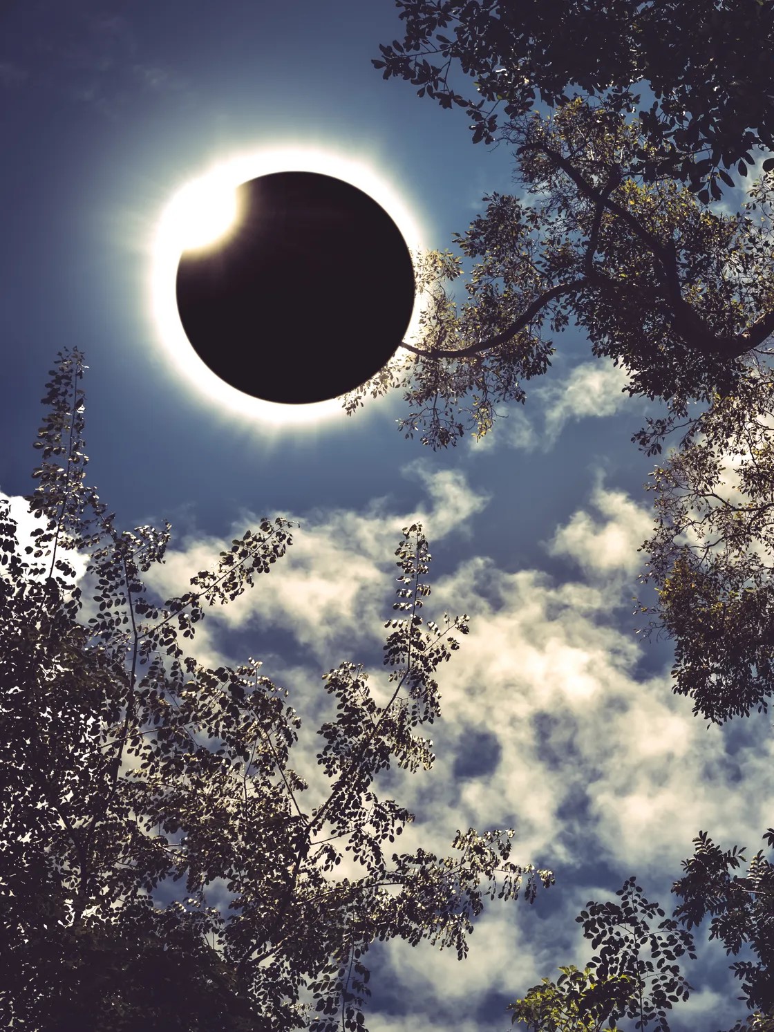 ECLIPSE. TABULA RASA.
